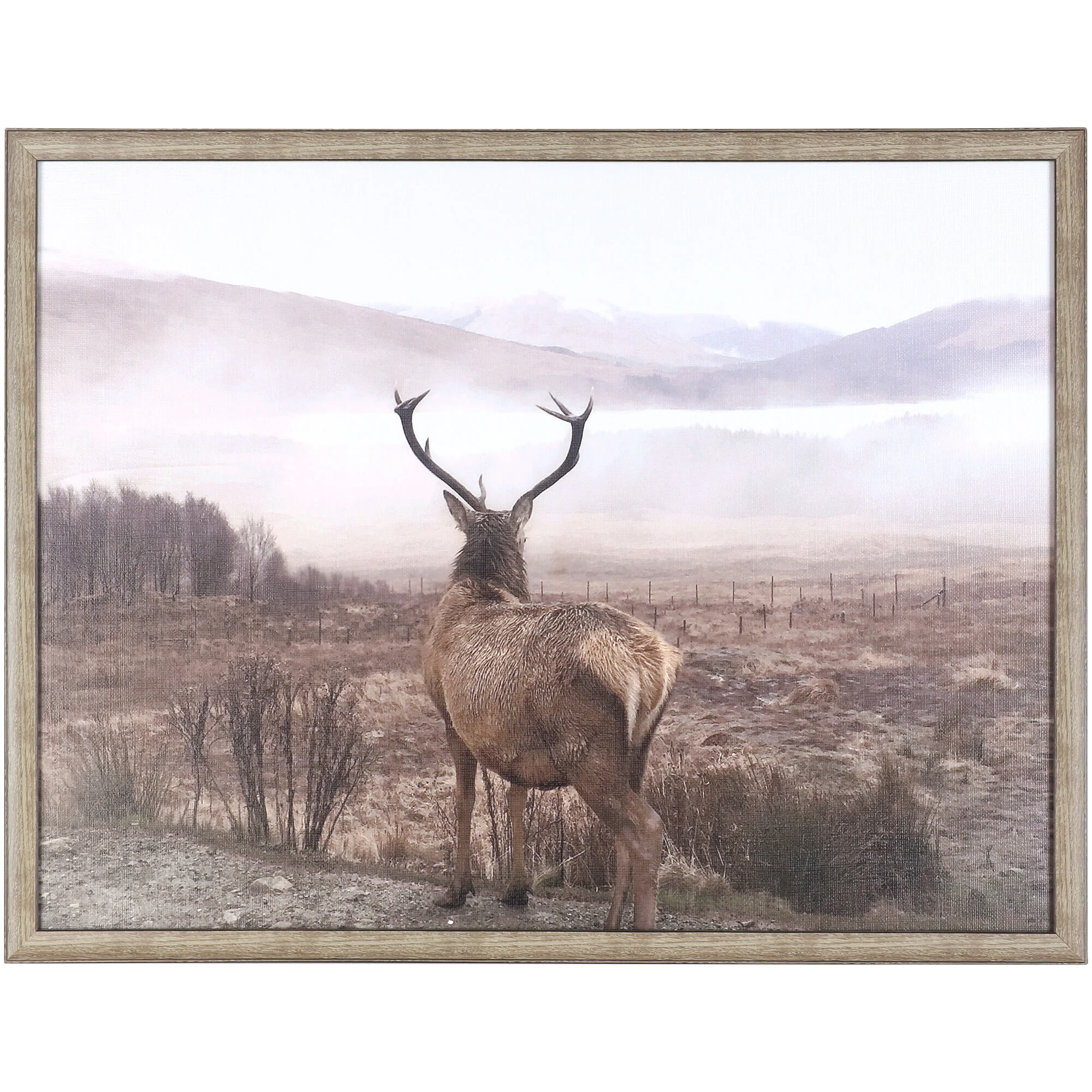 Back To Forest Wall Art