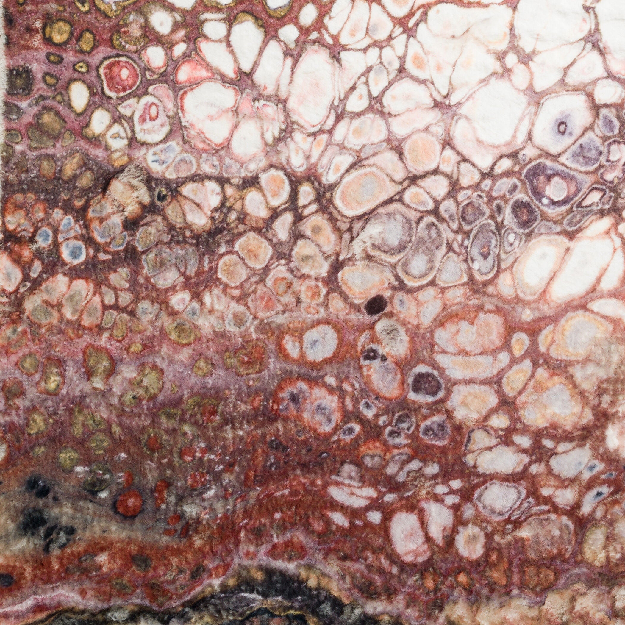 Kikiamo Rug - Image 15