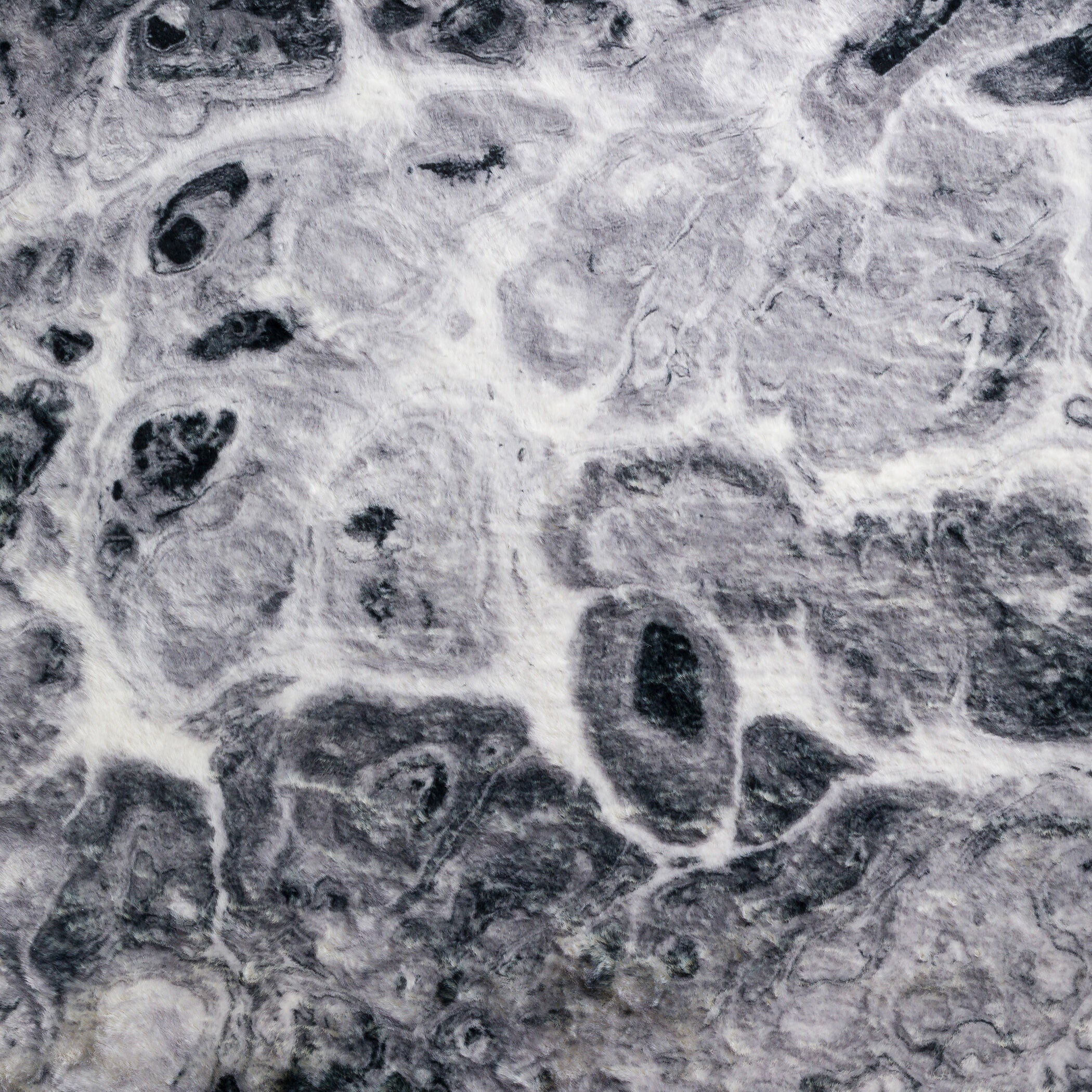 Kikiamo Rug - Image 9