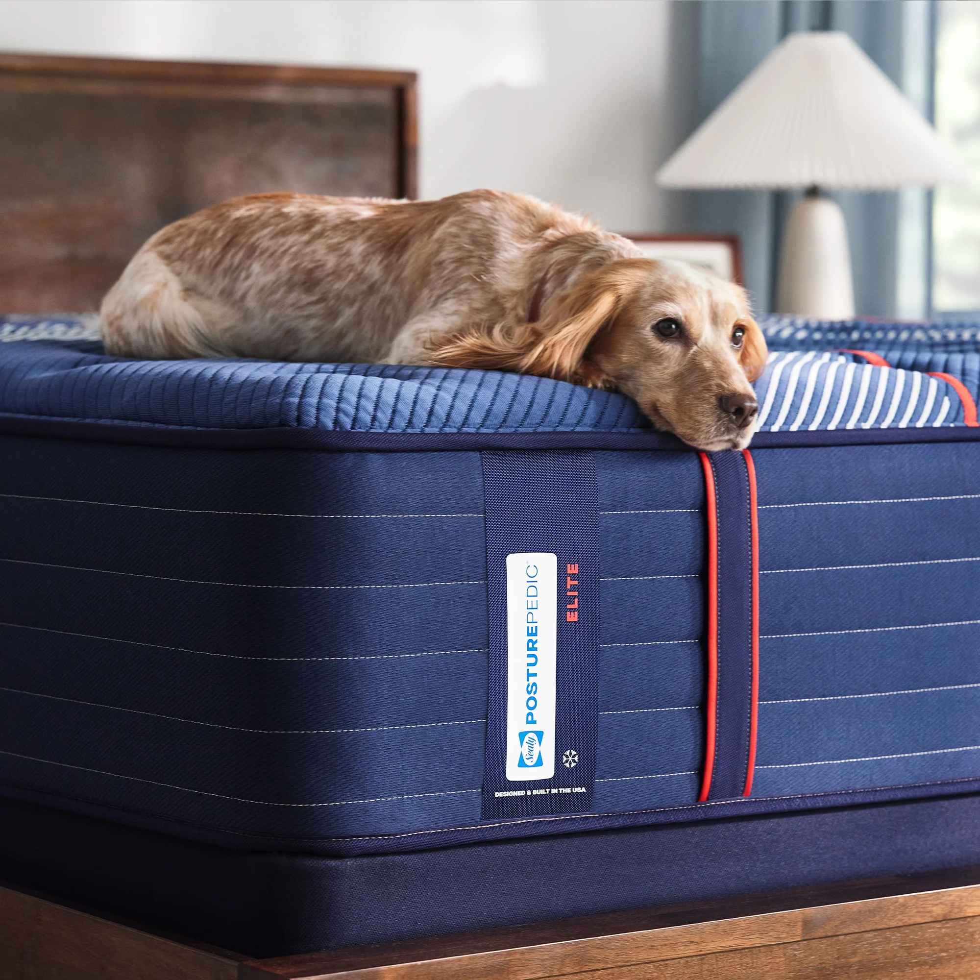 Sealy Posturepedic Elite Albany II Firm Tight Top Mattress - Image 43