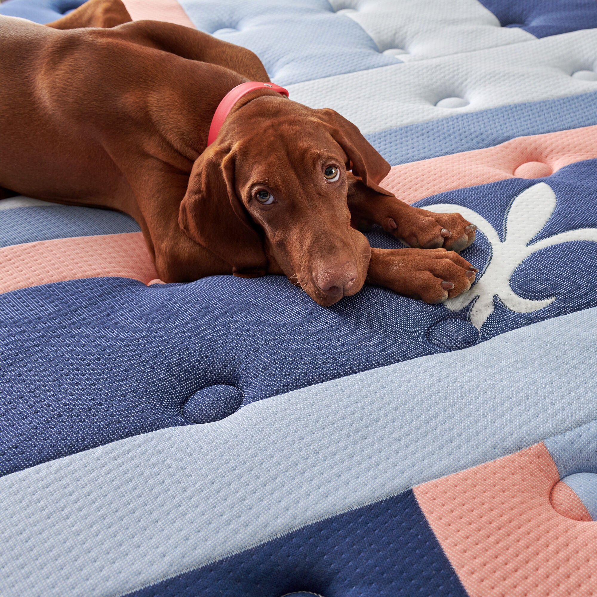 Stearns and Foster Reserve Duet Mattress - Image 12